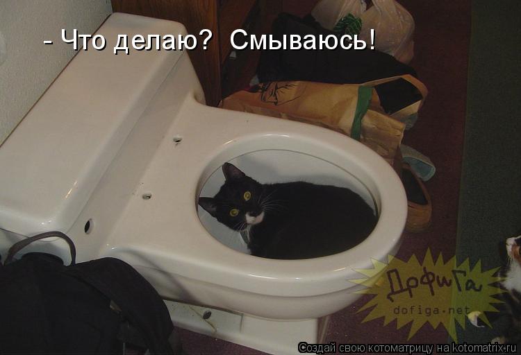 - Что делаю? Смываюсь!... Котоматрица: - Что делаю? Смываюсь!