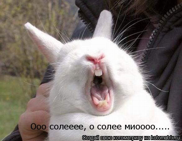 Ооо солееее, о солее миоооо........ Котоматрица: Ооо солееее, о солее миоооо.....