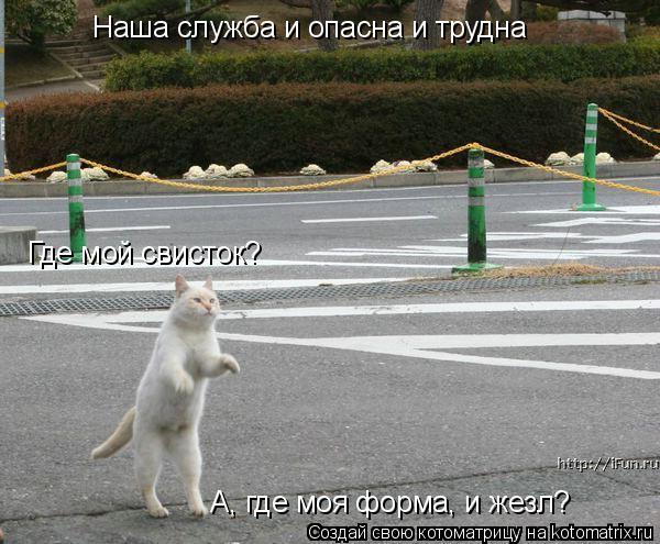 Наша служба и опасна и трудна Где мой свисток? Где мой свисток? А, где моя форма, и жезл?... Котоматрица: Наша служба и опасна и трудна Где мой свисток? Где мой свисток? А, где моя форма, и жезл?