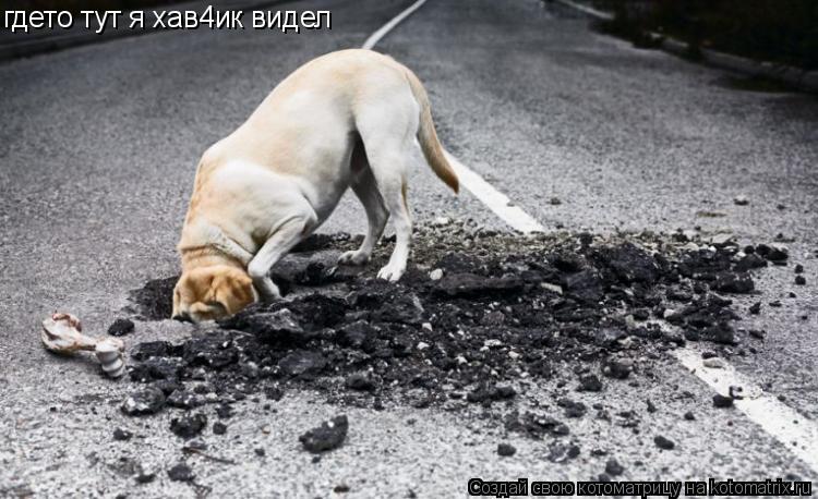 гдето тут я хав4ик видел... Котоматрица: гдето тут я хав4ик видел