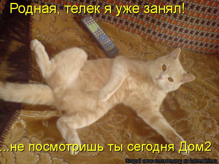 Родная, телек я уже занял! ...не посмотришь ты сегодня Дом2... Котоматрица: Родная, телек я уже занял! ...не посмотришь ты сегодня Дом2