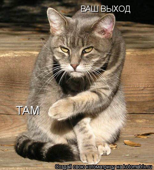 ВАШ ВЫХОД ТАМ... Котоматрица: ВАШ ВЫХОД ТАМ