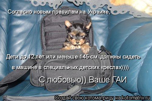 Согласно новым правилам на Украине, Дети до 12 лет или меньше 145 см. должны сидеть в машине в специ... Котоматрица: Согласно новым правилам на Украине, Дети до 12 лет или меньше 145 см. должны сидеть в машине в специальных детских креслах)))) С любовью)) Ваше Г