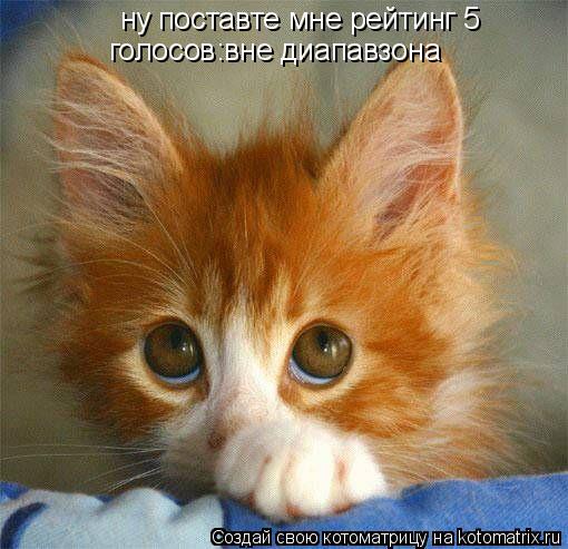 ну поставте мне рейтинг 5 голосов:вне диапавзона... Котоматрица: ну поставте мне рейтинг 5 голосов:вне диапавзона