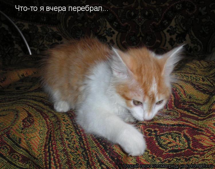 Что-то я вчера перебрал...... Котоматрица: Что-то я вчера перебрал...