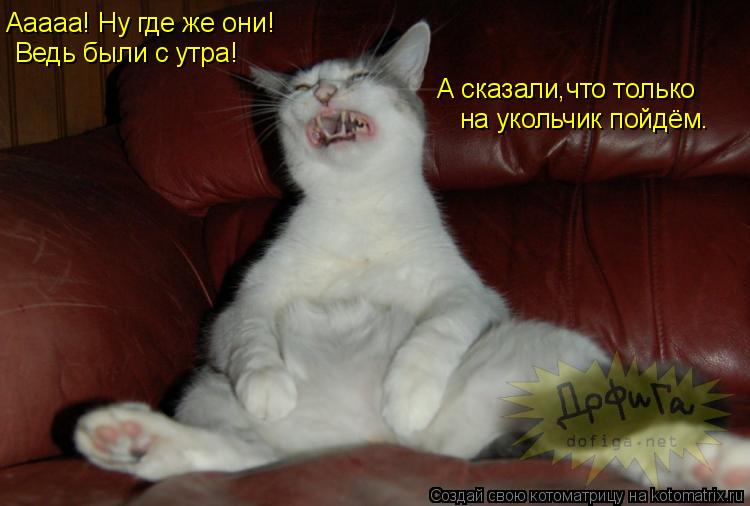 Ааааа! Ну где же они! Ведь были с утра! А сказали,что только на укольчик пойдём.... Котоматрица: Ааааа! Ну где же они! Ведь были с утра! А сказали,что только на укольчик пойдём.