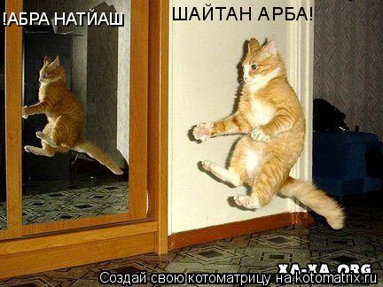 ШАЙТАН АРБА! !АБРА НАТЙАШ... Котоматрица: ШАЙТАН АРБА! !АБРА НАТЙАШ