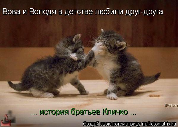 Вова и Володя в детстве любили друг-друга ... история братьев Кличко ...... Котоматрица: Вова и Володя в детстве любили друг-друга ... история братьев Кличко ...