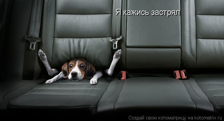 Я кажись застрял... Котоматрица: Я кажись застрял