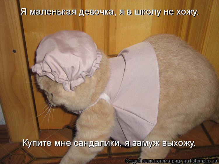 Я маленькая девочка, я в школу не хожу. Купите мне сандалики, я замуж выхожу.... Котоматрица: Я маленькая девочка, я в школу не хожу. Купите мне сандалики, я замуж выхожу.