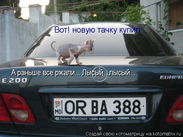 Вот! новую тачку купил... А раньше все ржали... Лысый...лысый...... Котоматрица: Вот! новую тачку купил... А раньше все ржали... Лысый...лысый...