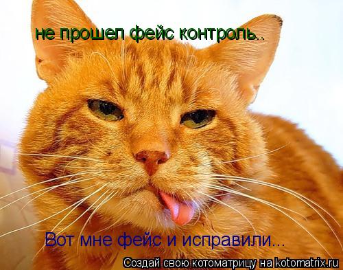не прошел фейс контроль.. Вот мне фейс и исправили...... Котоматрица: не прошел фейс контроль.. Вот мне фейс и исправили...
