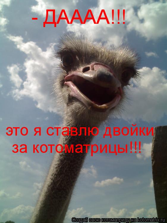 - ДАААА!!! это я ставлю двойки за котоматрицы!!!... Котоматрица: - ДАААА!!! это я ставлю двойки за котоматрицы!!!