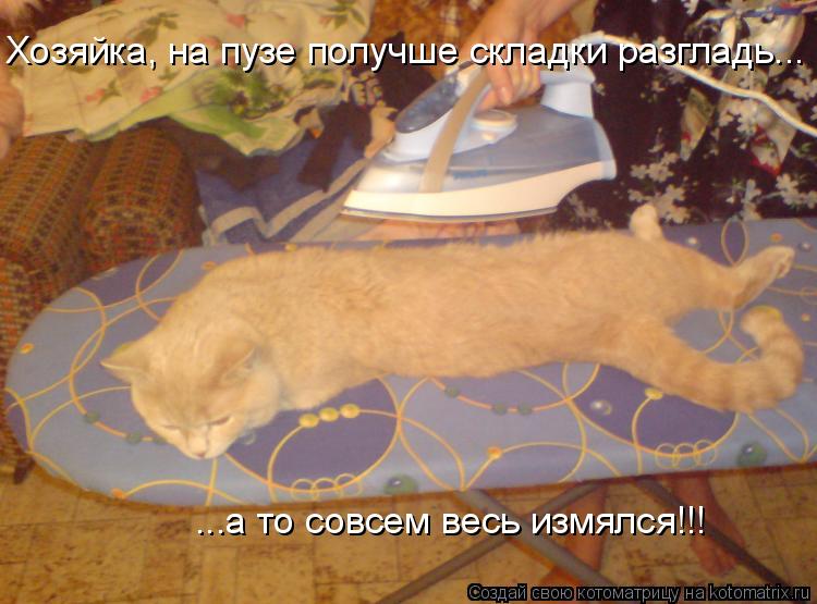Хозяйка, на пузе получше складки разгладь... ...а то совсем весь измялся!!!... Котоматрица: Хозяйка, на пузе получше складки разгладь... ...а то совсем весь измялся!!!