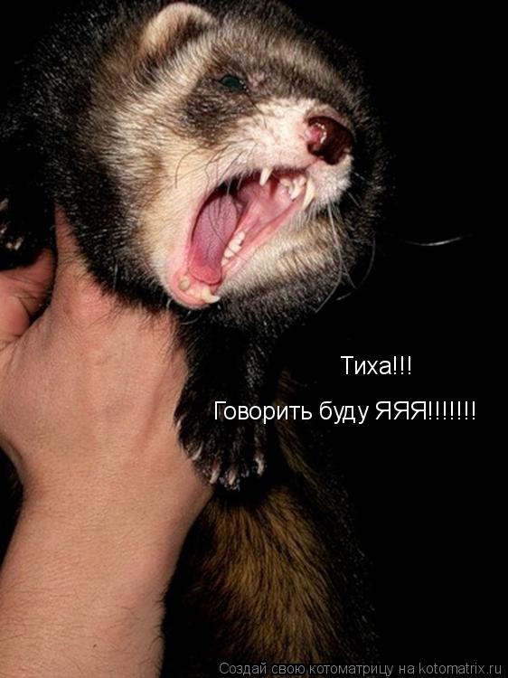 Тиха!!! Говорить буду ЯЯЯ!!!!!!!... Котоматрица: Тиха!!! Говорить буду ЯЯЯ!!!!!!!