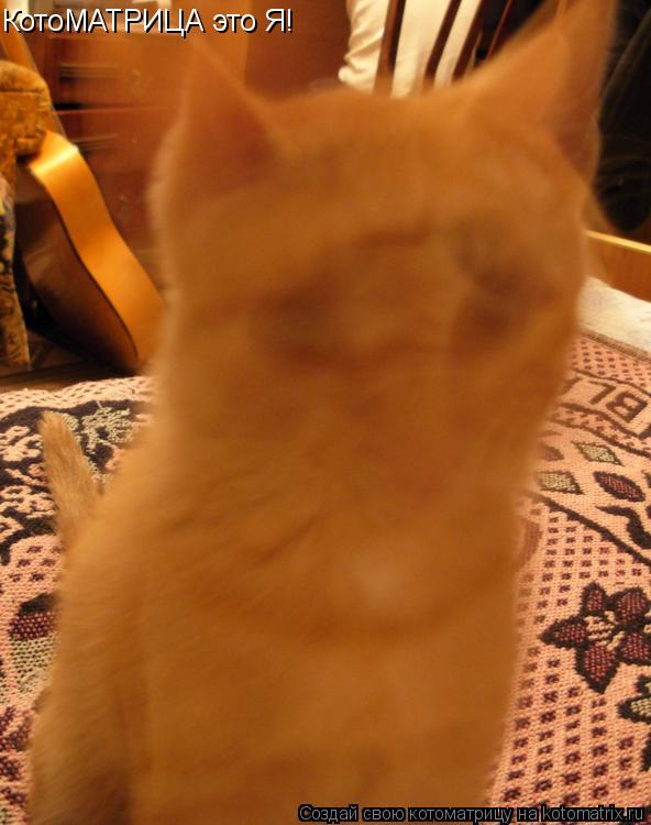 КотоМАТРИЦА это Я!... Котоматрица: КотоМАТРИЦА это Я!