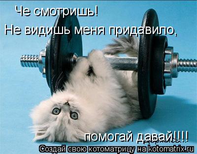 Че смотришь! Че смотришь! Не видишь меня придавило, помогай давай!!!!... Котоматрица: Че смотришь! Че смотришь! Не видишь меня придавило, помогай давай!!!!