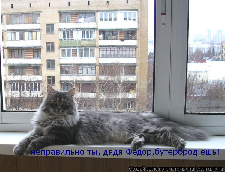 неправильно ты, дядя Фёдор,бутерброд ешь!... Котоматрица: неправильно ты, дядя Фёдор,бутерброд ешь!