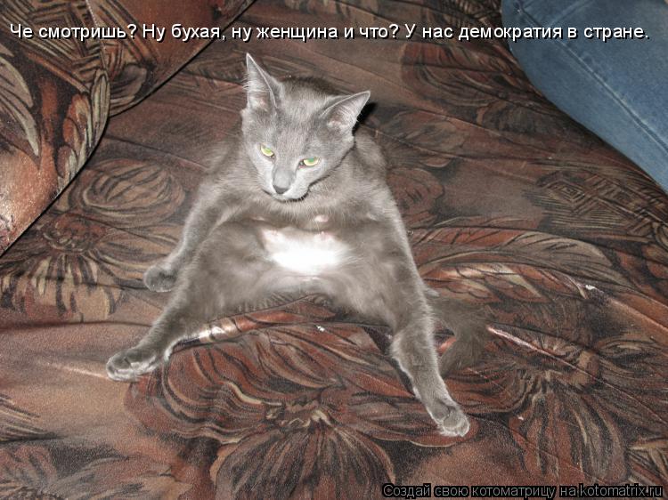Че смотришь? Ну бухая, ну женщина и что? У нас демократия в стране.... Котоматрица: Че смотришь? Ну бухая, ну женщина и что? У нас демократия в стране.