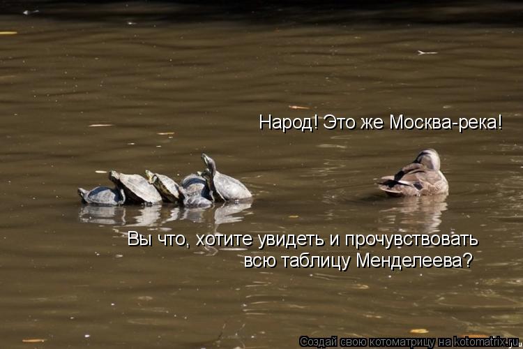 Народ! Это же Москва-река! Вы что, хотите увидеть и прочувствовать всю таблицу Менделеева?... Котоматрица: Народ! Это же Москва-река! Вы что, хотите увидеть и прочувствовать всю таблицу Менделеева?