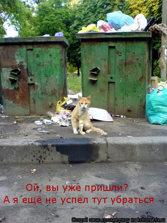 А я ещё не успел тут убраться Ой, вы уже пришли?... Котоматрица: А я ещё не успел тут убраться Ой, вы уже пришли?