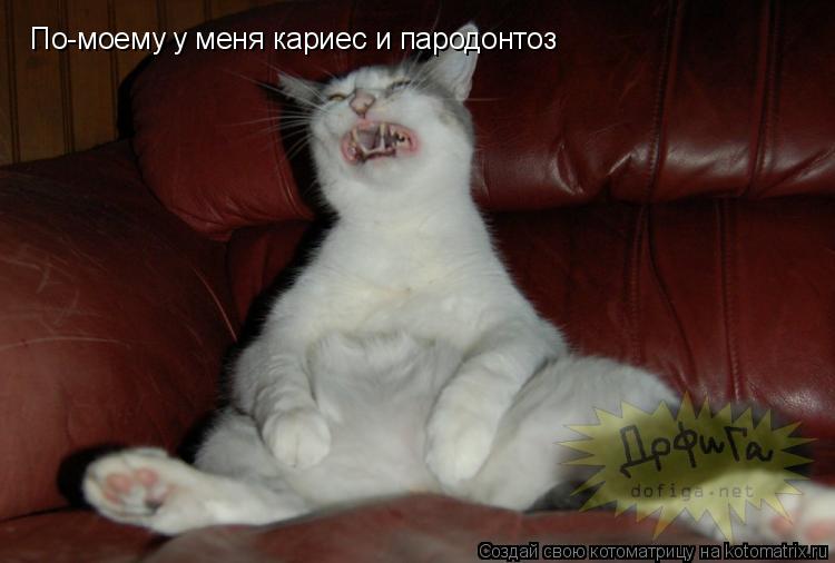По-моему у меня кариес и пародонтоз... Котоматрица: По-моему у меня кариес и пародонтоз