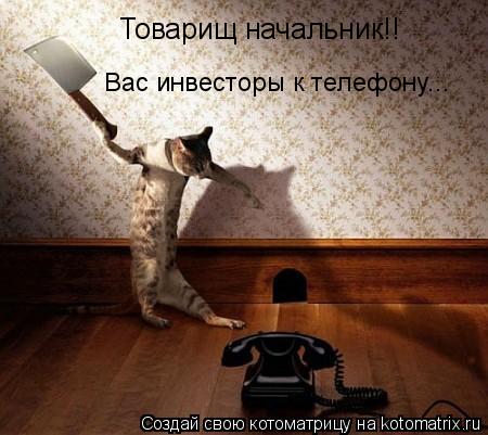 Товарищ начальник!! Вас инвесторы к телефону...... Котоматрица: Товарищ начальник!! Вас инвесторы к телефону...