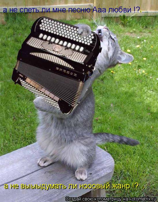 а не спеть ли мне песню Ааа любви !? ... а не выыыдумать ли нооовый жанр !? ...... Котоматрица: а не спеть ли мне песню Ааа любви !? ... а не выыыдумать ли нооовый жанр !? ...