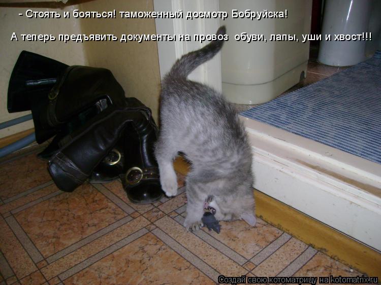 - Стоять и бояться! таможенный досмотр Бобруйска! А теперь предъявить документы на провоз обуви, лап... Котоматрица: - Стоять и бояться! таможенный досмотр Бобруйска! А теперь предъявить документы на провоз обуви, лапы, уши и хвост!!!