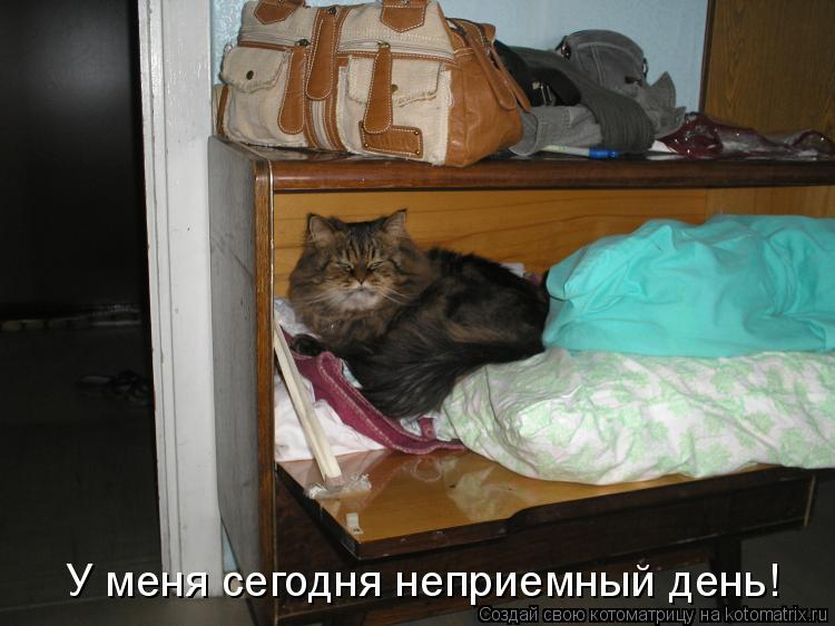 У меня сегодня неприемный день!... Котоматрица: У меня сегодня неприемный день!