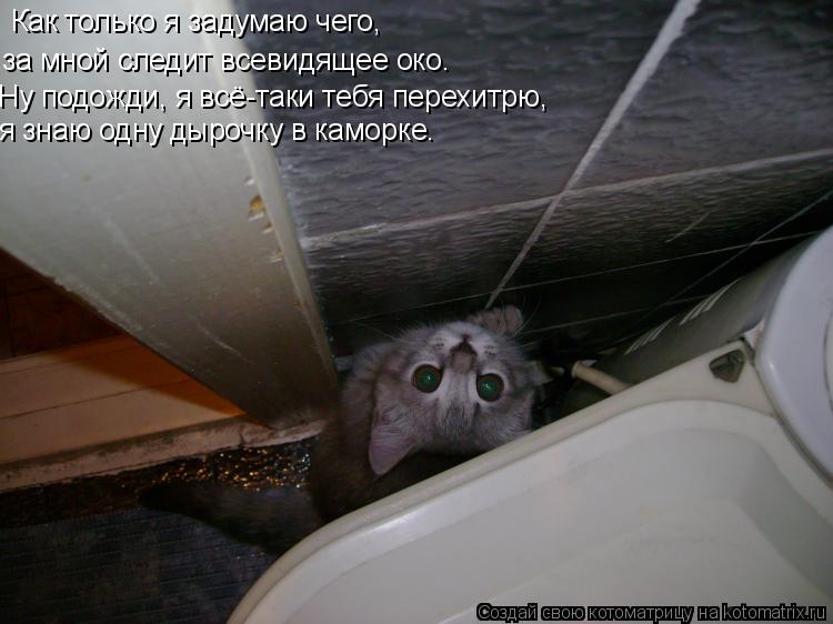 Как только я задумаю чего, за мной следит всевидящее око. Ну подожди, я всё-таки тебя перехитрю, я зн... Котоматрица: Как только я задумаю чего, за мной следит всевидящее око. Ну подожди, я всё-таки тебя перехитрю, я знаю одну дырочку в каморке.