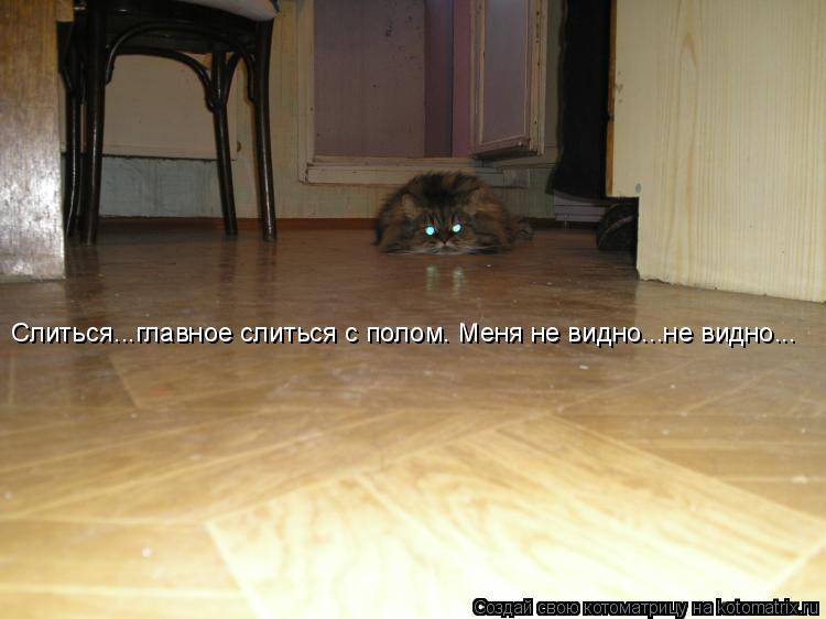 Слиться...главное слиться с полом. Меня не видно...не видно...... Котоматрица: Слиться...главное слиться с полом. Меня не видно...не видно...