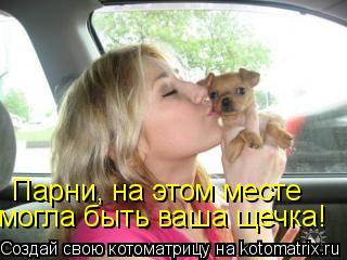 Парни, на этом месте могла быть ваша щечка!... Котоматрица: Парни, на этом месте могла быть ваша щечка!