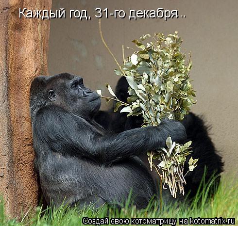 Каждый год, 31-го декабря ...... Котоматрица: Каждый год, 31-го декабря ...