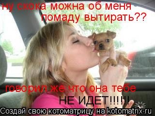 ну скока можна об меня помаду вытирать?? говорил же что она тебе НЕ ИДЕТ!!!!!!... Котоматрица: ну скока можна об меня помаду вытирать?? говорил же что она тебе НЕ ИДЕТ!!!!!!