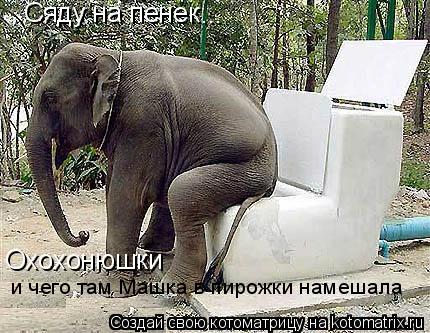 Сяду на пенек ... Охохонюшки и чего там Машка в пирожки намешала... Котоматрица: Сяду на пенек ... Охохонюшки и чего там Машка в пирожки намешала
