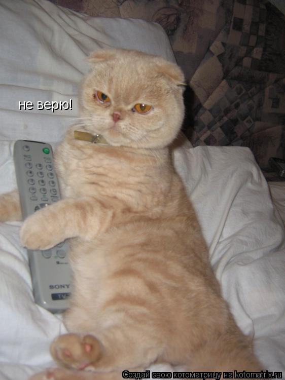 не верю!... Котоматрица: не верю!