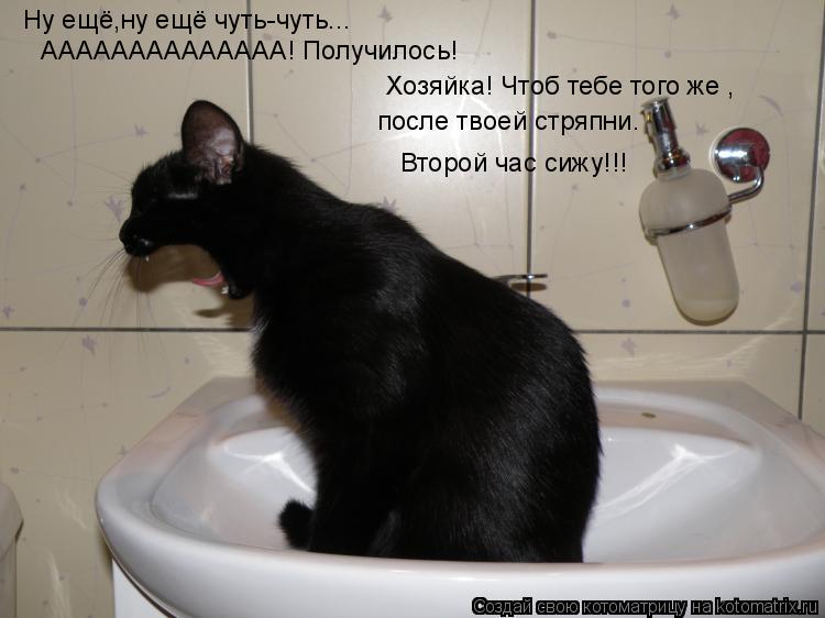 Ну ещё,ну ещё чуть-чуть... АААААААААААААА! Получилось! Хозяйка! Чтоб тебе того же , после твоей стряп... Котоматрица: Ну ещё,ну ещё чуть-чуть... АААААААААААААА! Получилось! Хозяйка! Чтоб тебе того же , после твоей стряпни. Второй час сижу!!!