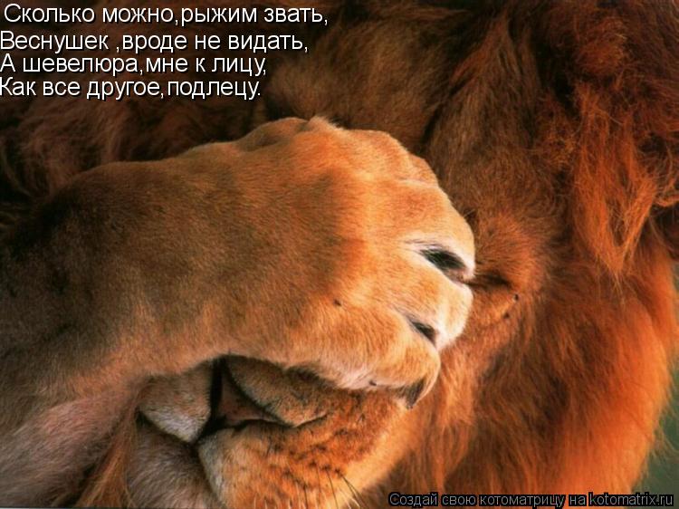 Сколько можно,рыжим звать, Веснушек ,вроде не видать, А шевелюра,мне к лицу, Как все другое,подлецу.... Котоматрица: Сколько можно,рыжим звать, Веснушек ,вроде не видать, А шевелюра,мне к лицу, Как все другое,подлецу.