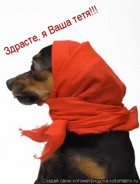 Здрасте, я Ваша тетя!!!... Котоматрица: Здрасте, я Ваша тетя!!!