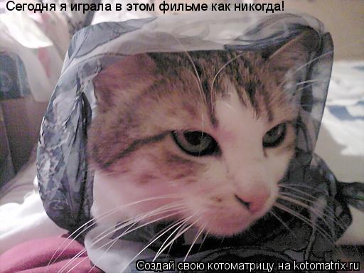 Сегодня я играла в этом фильме как никогда!... Котоматрица: Сегодня я играла в этом фильме как никогда!