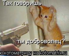 Так говоришь ты доброволец?... Котоматрица: Так говоришь ты доброволец?