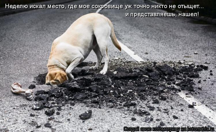 Неделю искал место, где мое сокровище уж точно никто не отыщет... и представляешь, нашел!... Котоматрица: Неделю искал место, где мое сокровище уж точно никто не отыщет... и представляешь, нашел!