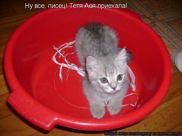 Ну все, писец! Тетя Ася приехала!... Котоматрица: Ну все, писец! Тетя Ася приехала!