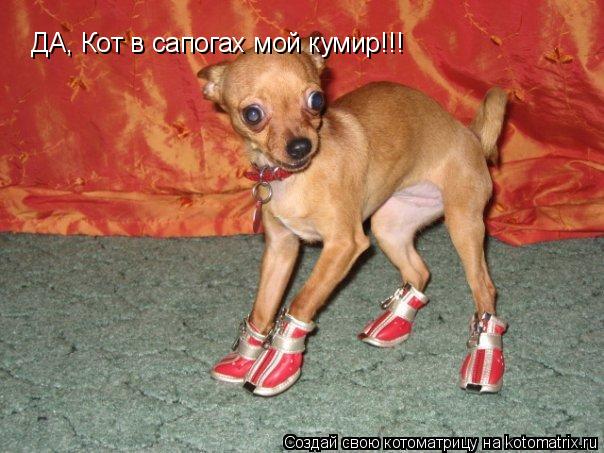 ДА, Кот в сапогах мой кумир!!!... Котоматрица: ДА, Кот в сапогах мой кумир!!!
