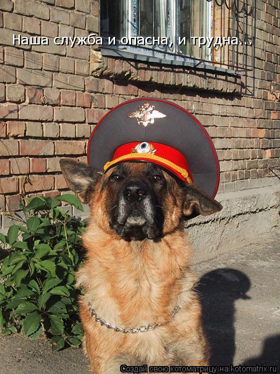 Наша служба и опасна, и трудна...... Котоматрица: Наша служба и опасна, и трудна...