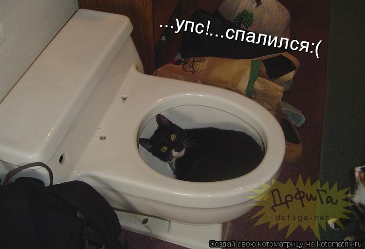 ...упс!...спалился:(... Котоматрица: ...упс!...спалился:(