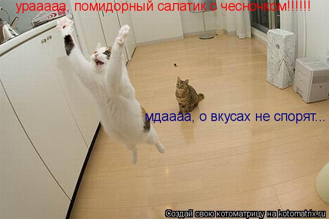 урааааа, помидорный салатик с чесночком!!!!!! мдаааа, о вкусах не спорят...... Котоматрица: урааааа, помидорный салатик с чесночком!!!!!! мдаааа, о вкусах не спорят...