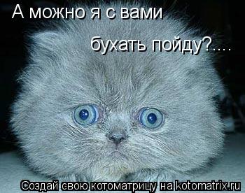 Котоматрица: А можно я с вами бухать пойду?....