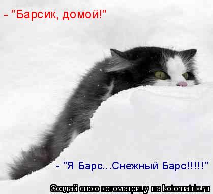 - "Барсик, домой!" - "Я Барс...Снежный Барс!!!!!"... Котоматрица: - "Барсик, домой!" - "Я Барс...Снежный Барс!!!!!"